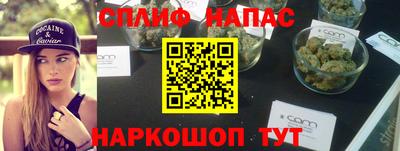 МДПВ Сланцы