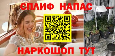 молекула духа Славгород