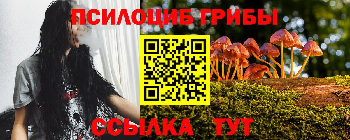 APVP Осинники