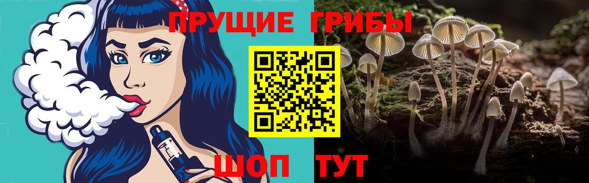 купить   Псилоцибиновые грибы мицелий  Осинники  Вход с VPN  Галлюциногенные грибы Psilocybe 
