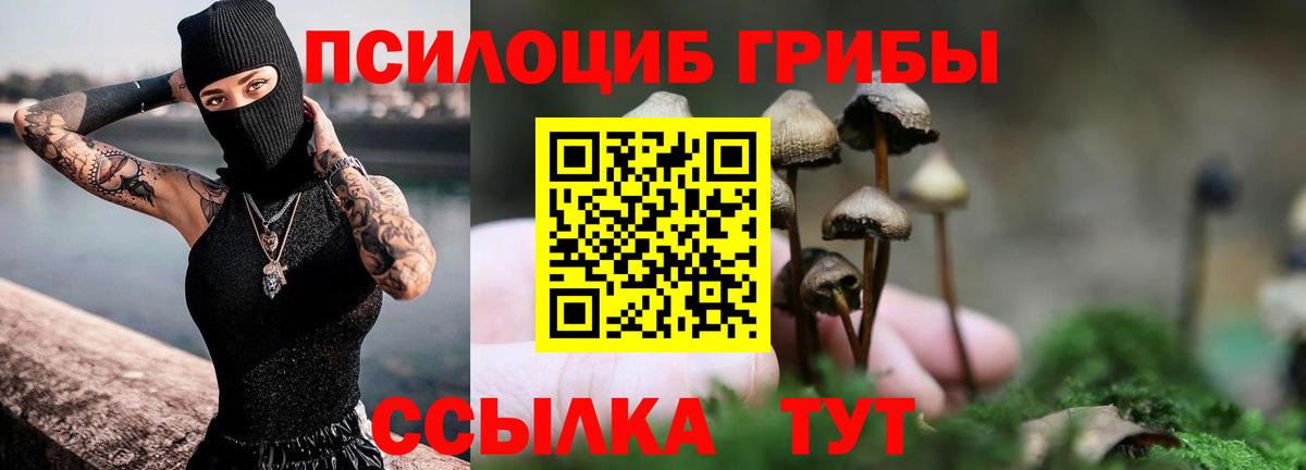 Псилоцибиновые грибы MAGIC MUSHROOMS Осинники