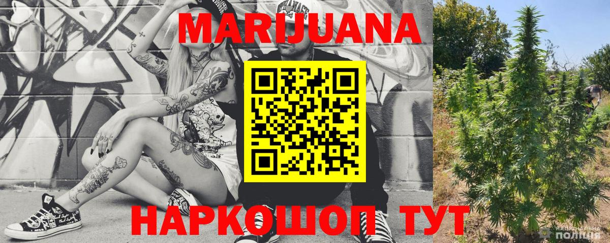 Осинники  Конопля семена  Вход с VPN  Шишки марихуана Bruce Banner  Бошки Шишки Amnesia 